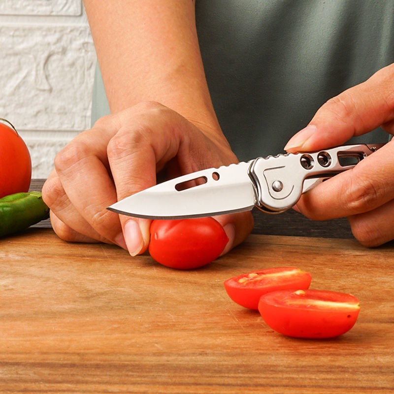 야외용 접이식 포켓 나이프 스테인레스 스틸 과일칼 ED - Edc Carry Pocket Knife 리뷰 및 가격